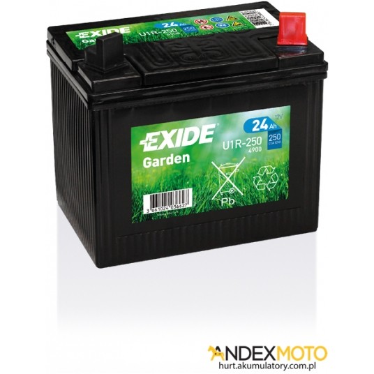 Akumulator 24 Ah EXIDE GARDEN 4900 U1L-250 -zdjęcie numer 1