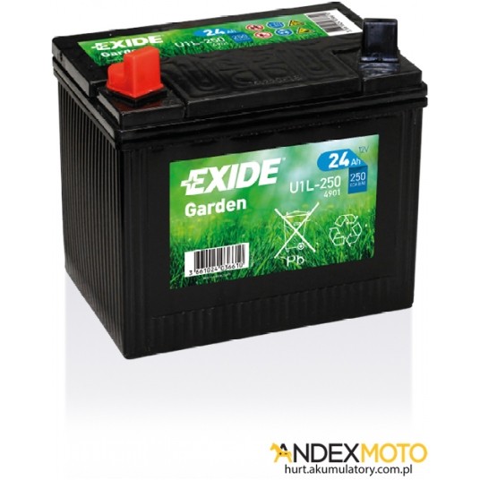 Akumulator 24 Ah EXIDE GARDEN 4901 -zdjęcie numer 1