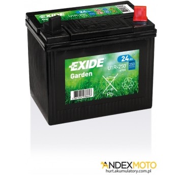 Akumulator 24 Ah EXIDE GARDEN 4900 U1L-250